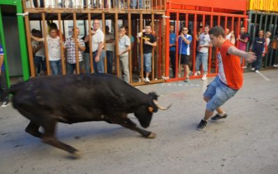 Fiestas