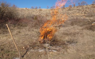 Sol.licituts CREMES 2021-2022