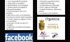 CURS DE SMARTPHONE, WHATSAPP I FACEBOOK 2022